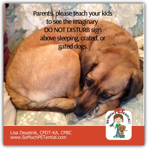 Kids and Dogs: Dog Bite Prevention Tip For Parents