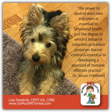 Cincinnati Certified Dog Trainer Lisa Desatnik, CPDT-KA, talks about the importance of empowerment in dog training, and how she solved a leash problem with a puppy.