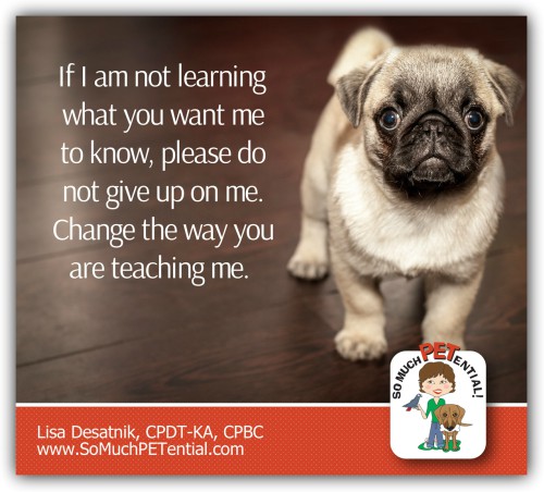 As your dog's trainer, if your dog is not learning what you are teaching, try changing the way you are teaching it.