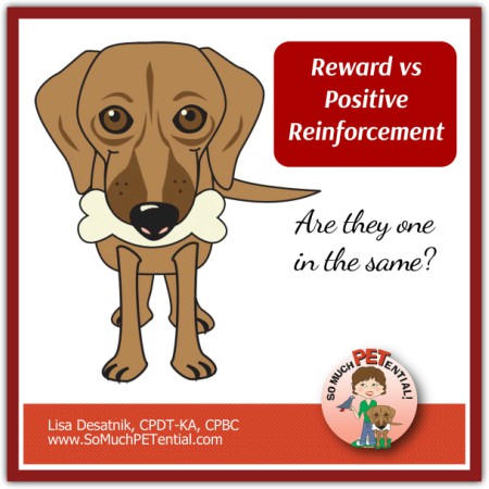 Is a reward and positive reinforcement the same thing in dog training?