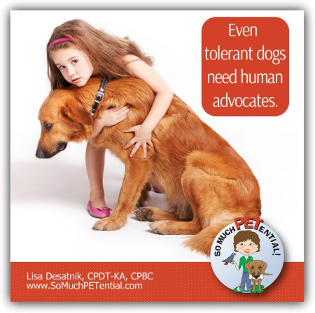 Tolerant dogs will still bite if pushed and their dog body language is not listened to. Certified Dog Trainer Lisa Desatnik, CPDT-KA, CPBC, talks about tolerance in dogs, why they still need advocates, and what you can do to help them succeed.
