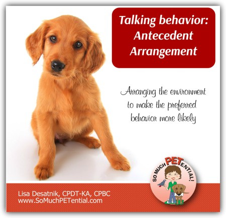 antecedent arrangement in dog training - how to solve dog behavior problems in a positive way