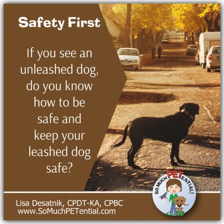 Tips If Approached By An Off-Leash Dog 