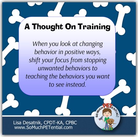 Cincinnati Certified Dog Trainer, Lisa Desatnik, CPDT-KA, CPBC, shares why she focuses on teaching dogs what TO DO vs what NOT to do.
