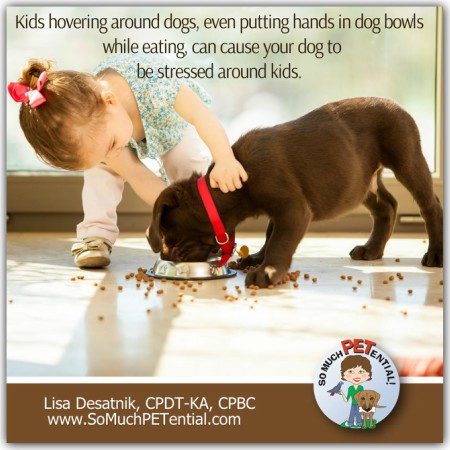 A dog bite prevention tip for parents of dogs and kids: actively supervise kids and infants with dogs. Kids' hands should not be near a dog while eating.