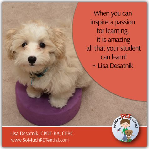 Train your dog or puppy to inspire your pet to want to learn.