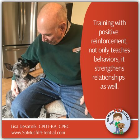 Stu lives in Cincinnati and has a fearful miniature schnauzer dog. Certified dog trainer Lisa Desatnik talks about how teaching using positive reinforcement is not only helping Olivia to feel better about her environment, it is strengthening her relationship with Stu.