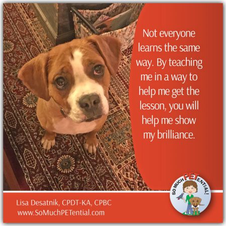 In dog training, if your dog is not learning what you are teaching, change the way you teach.