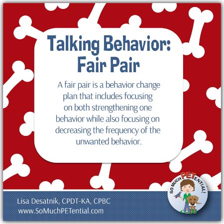 A fair pair is a behavior change plan that includes focusing on both teaching/strengthening one behavior (increasing the frequency of that behavior) while also focusing on decreasing the frequency of an unwanted behavior.