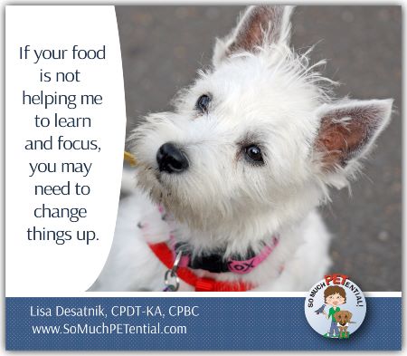 Sometimes people say dog training with food as positive reinforcement does not work. Certified dog trainer Lisa Desatnik shares tips for using food in training.