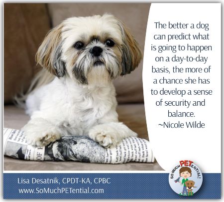 “The better able a dog can predict what is going to happen on a day-to-day basis, the more chance she has to develop a sense of security and balance.” ~ Nicole Wilde, CPDT-KA, behavior specialist, speaker, author and trainer