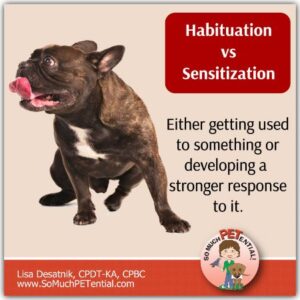 Habituation vs Sensitization In Dog Training | So Much PETential