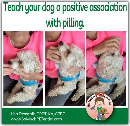 Tips for pilling your dog to give oral medication