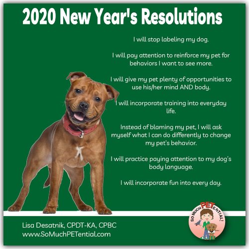 2020 New Year's resolutions for dog training