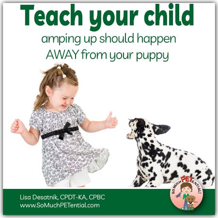 dog bite prevention tip - teach your child that wild and crazy play should happen away from your dog.
