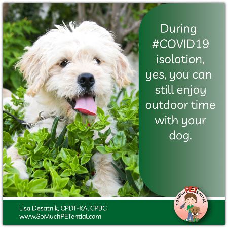going outside with your dog during covid-19 isolation