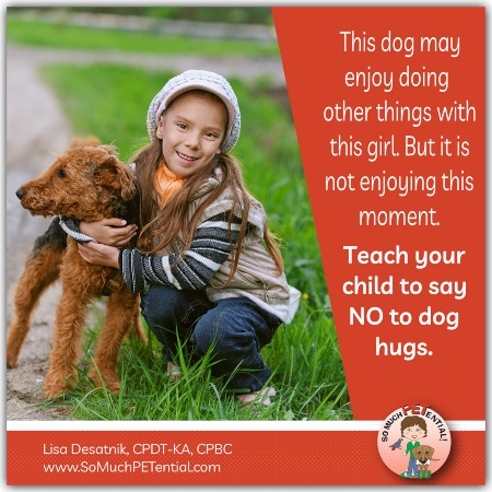 teach kids NO dog hugs