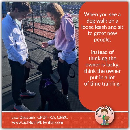 quote about dog training