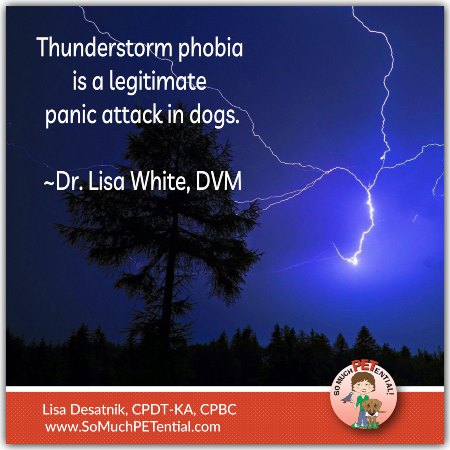 Thunderstorm Phobia In Dogs Is A Real Panic Attack