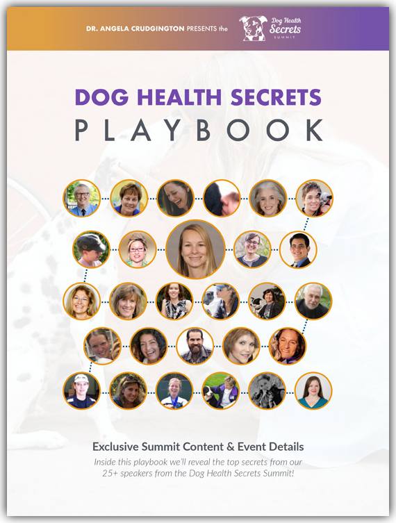 Lisa Desatnik is among over 25 speakers at the Dog Health Secrets Summit