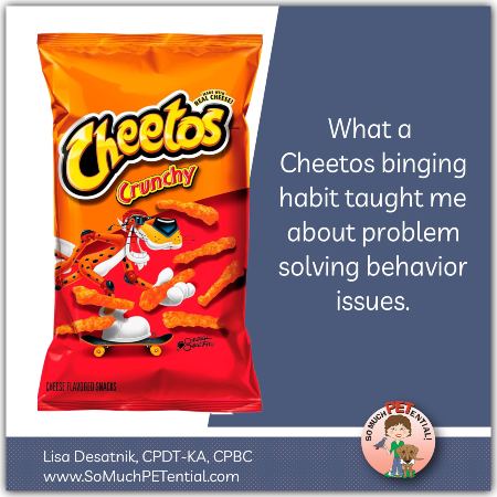 What Cheetos binging taught me about solving dog behavior problems