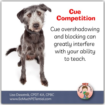 overshadowing and blocking of cues in dog training