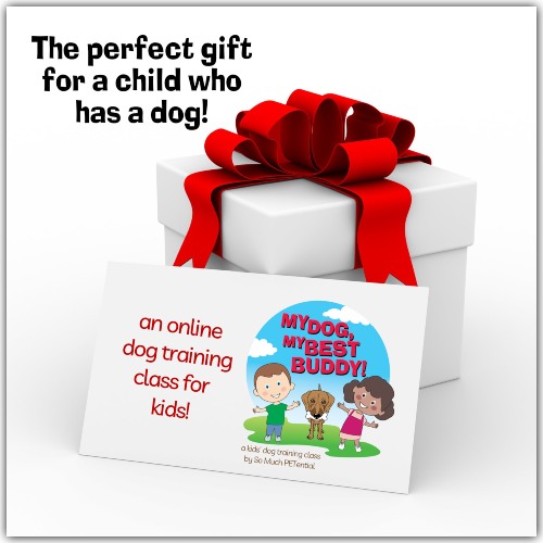 Give the perfect gift to a child who has a dog - online dog training class taught by Lisa Desatnik