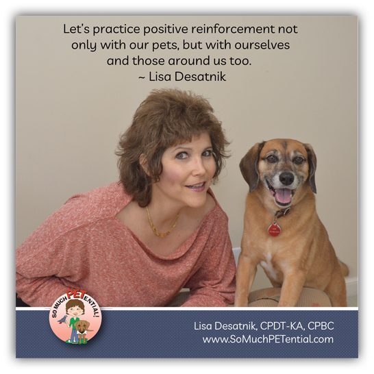quote about using positive reinforcement in dog training by Lisa Desatnik