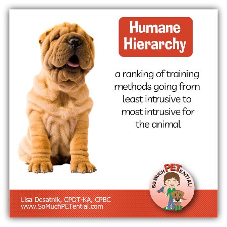 Humane Hierarchy is a ranking of training methods going from least intrusive for the learner to most intrusive