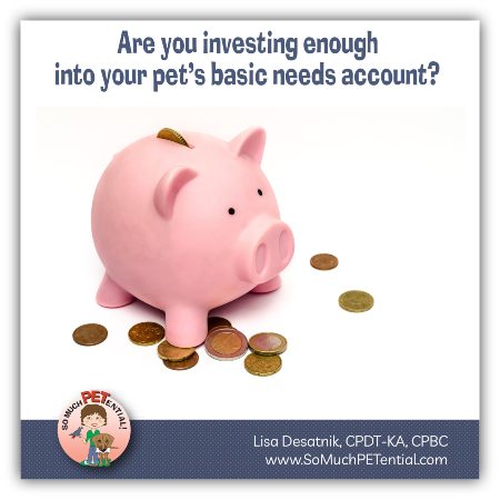 Are you investing enough into your dog's basic needs piggy bank?
