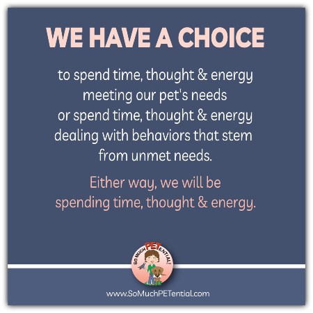We have a choice: to spend time, thought, and energy meeting our pet's needs. Or spend time, thought and energy dealing with behaviors that stem from unmet needs. Either way you will spend time, thought and energy.