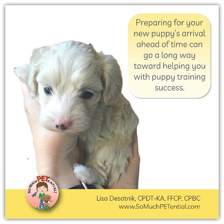 how to prepare for a new puppy