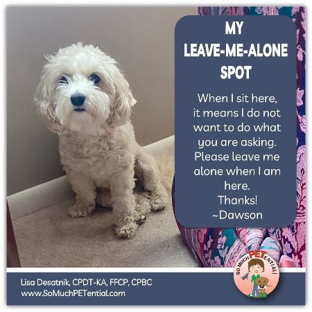 Your Dog's Leave-Me-Alone Spot