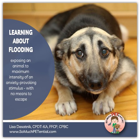understanding flooding and learned helplessness in dog training