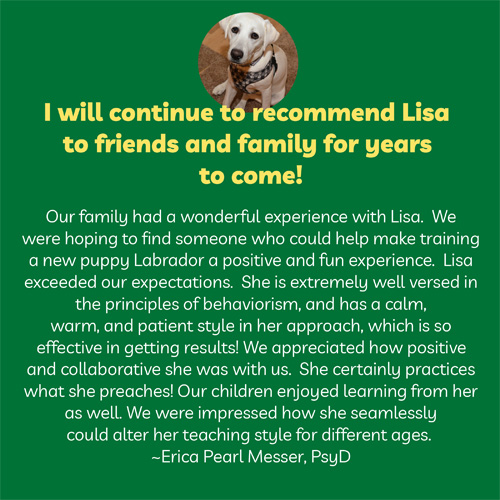 Recommendation for puppy trainer Lisa Desatnik: "I will continue to recommend Lisa to friends and family for years to come! Our family had a wonderful experience with Lisa.  We were hoping to find someone who could help make training a new puppy Labrador a positive and fun experience.  Lisa exceeded our expectations.  She is extremely well versed in the principles of behaviorism, and has a calm, warm, and patient style in her approach, which is so effective in getting results! We appreciated how positive and collaborative she was with us.  She certainly practices what she preaches! Our children enjoyed learning from her as well. We were impressed how she seamlessly could alter her teaching style for different ages.  ~Erica Pearl Messer, PsyD