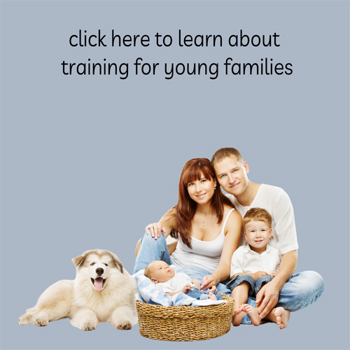 click here to learn more about dog training for young families by Lisa Desatnik of So Much PETential