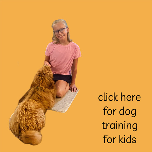 click here to learn more about dog training for kids by Lisa Desatnik of So Much PETential