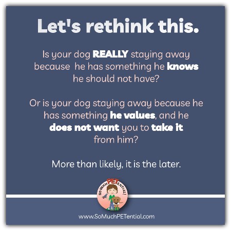 Is your dog REALLY staying away because he has something he knows he should not have? Or is your dog staying away because he has something he values, and he does not want you to take it from him? More than likely, it is the later.