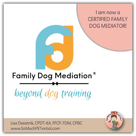 Certified Dog Trainer Lisa Desatnik is now a certified family dog mediator.