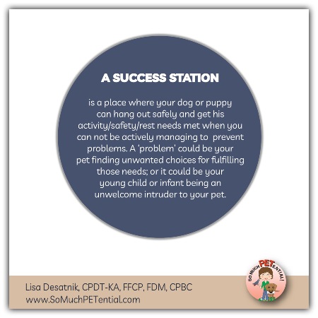 Success Stations (coined by my teacher/mentor Jen Shryock of Family Paws) are management strategies for kids and dogs (and puppies) aimed at preventing problem behaviors BEFORE those behaviors become a THING.