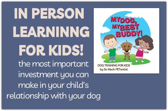 Cincinnati dog training classes for kids