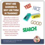 When I am training a dog (or other animal), you hear me use words like GOOD! and YES! a lot. You also often see me pull out a clicker. There is a lot more to me using those sounds than my simply expressing my excitement. They are training tools, called markers, that help my student learn what I am teaching. Why should you use a marker in dog training and pet training? Let's explore that in this blog post.