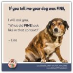 Is your dog fine? When clients tell me their dog was FINE at the groomer, FINE at the vet, FINE when accompanying them to a busy park, FINE when children are running and screaming…my question to them is, “What does FINE look like in that context?”