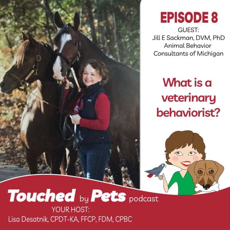 Episode 8: What is a veterinary behaviorist and who should seek one?