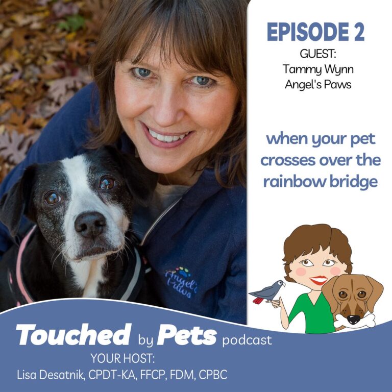 Episode 2: When Your Pet Crosses The Rainbow Bridge – Part 1