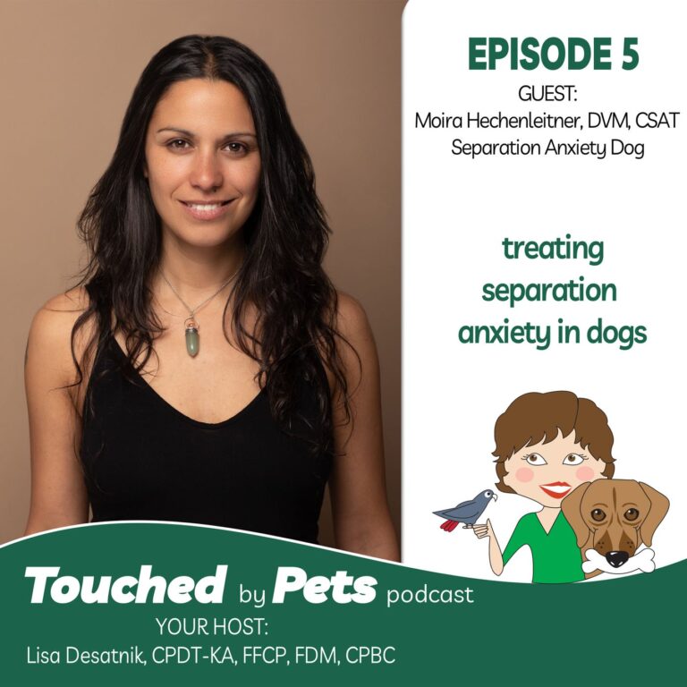 Episode 5: Treating Separation Anxiety