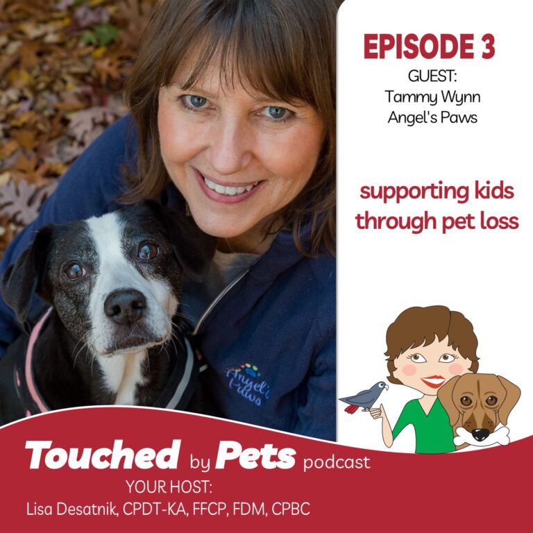 Episode 3: When Your Pet Crosses The Rainbow Bridge – Part 2