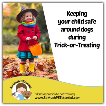 Parenting tips for keeping your child safe around dogs during Halloween Trick-or-Treating.