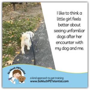 Yesterday when I was walking my dog, we had an opportunity to help a child feel safe around a dog. This is our story, an important story for parents and those who have a dog.