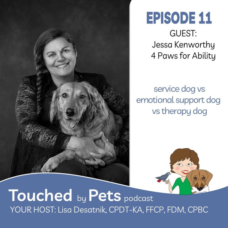 Episode 11: Service Dog vs Emotional Support Dog vs Certified Therapy Dog
